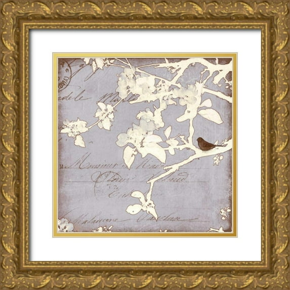 Melious, Amy 20x20 Gold Ornate Wood Framed with Double Matting Museum Art Print Titled - Song Birds VIII