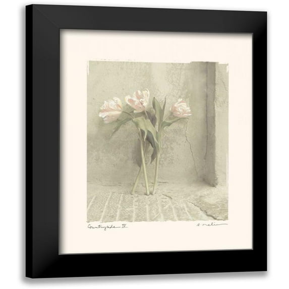Melious, Amy 20x24 Black Modern Framed Museum Art Print Titled - Countryside IV