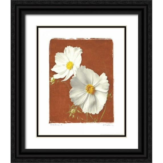 Melious, Amy 20x24 Black Ornate Wood Framed with Double Matting Museum Art Print Titled - White Cosmos II