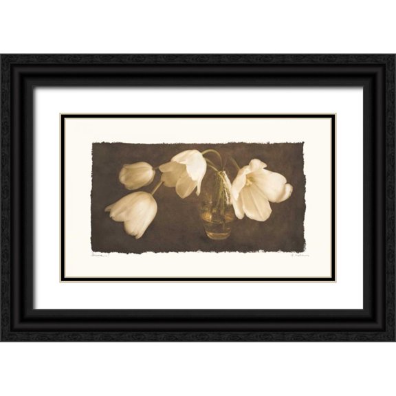 Melious, Amy 24x16 Black Ornate Wood Framed with Double Matting Museum Art Print Titled - Anima I