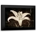 thumbnail image 1 of Melious, Amy 24x19 Black Modern Framed Museum Art Print Titled - Garden Journal III, 1 of 5