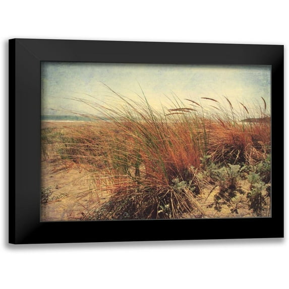 Melious, Amy 24x19 Black Modern Framed Museum Art Print Titled - Sand Dunes II