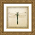 thumbnail image 1 of Melious, Amy 26x26 Gold Ornate Wood Framed with Double Matting Museum Art Print Titled - Dragonfly I, 1 of 4
