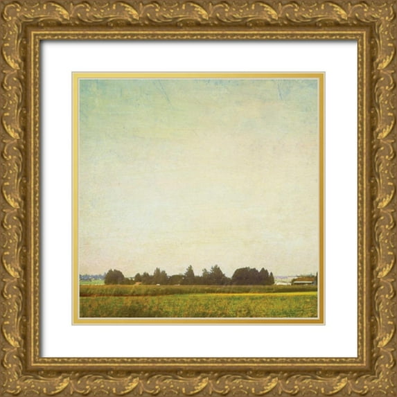 Melious, Amy 26x26 Gold Ornate Wood Framed with Double Matting Museum Art Print Titled - Spring Landscape I