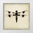 thumbnail image 1 of Melious, Amy 26x26 White Modern Wood Framed Museum Art Print Titled - Dragonfly II, 1 of 4