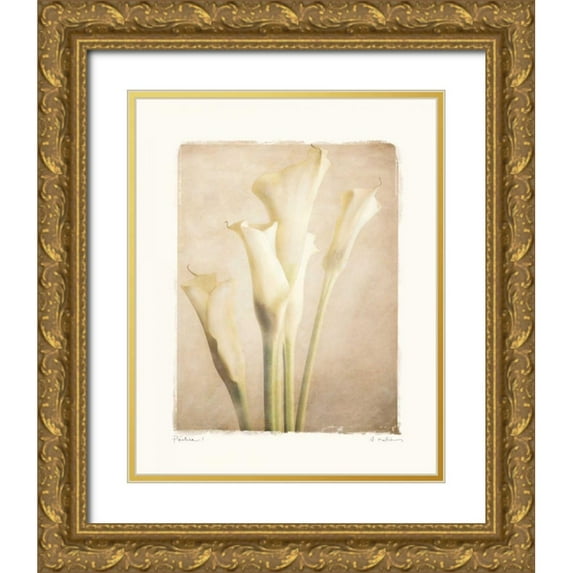 Melious, Amy 26x31 Gold Ornate Wood Framed with Double Matting Museum Art Print Titled - Poetica I