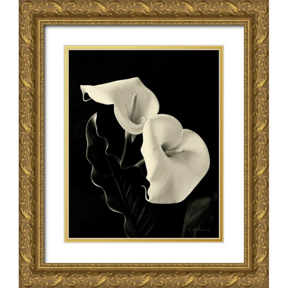 Melious, Amy 26x32 Gold Ornate Wood Framed with Double Matting Museum Art Print Titled - Botanical Elegance Calla IV