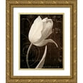 thumbnail image 1 of Melious, Amy 26x32 Gold Ornate Wood Framed with Double Matting Museum Art Print Titled - Garden Architecture I, 1 of 4