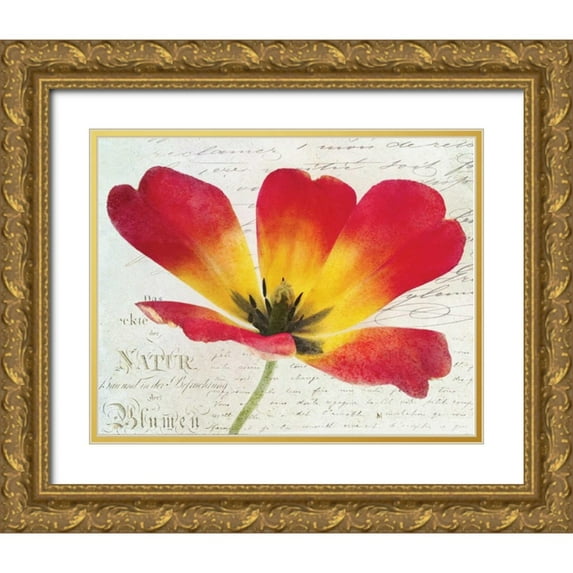 Melious, Amy 32x26 Gold Ornate Wood Framed with Double Matting Museum Art Print Titled - Bloom I