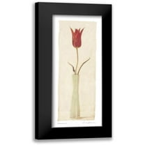 Melious, Amy 8x14 Black Modern Framed Museum Art Print Titled - Blossom I