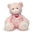 thumbnail image 1 of Melisa and Doug Happy Valentines Day Girl Bear 22- Pink, 1 of 1