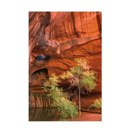 Melissa Averinos 'Making Faces II' Canvas Art