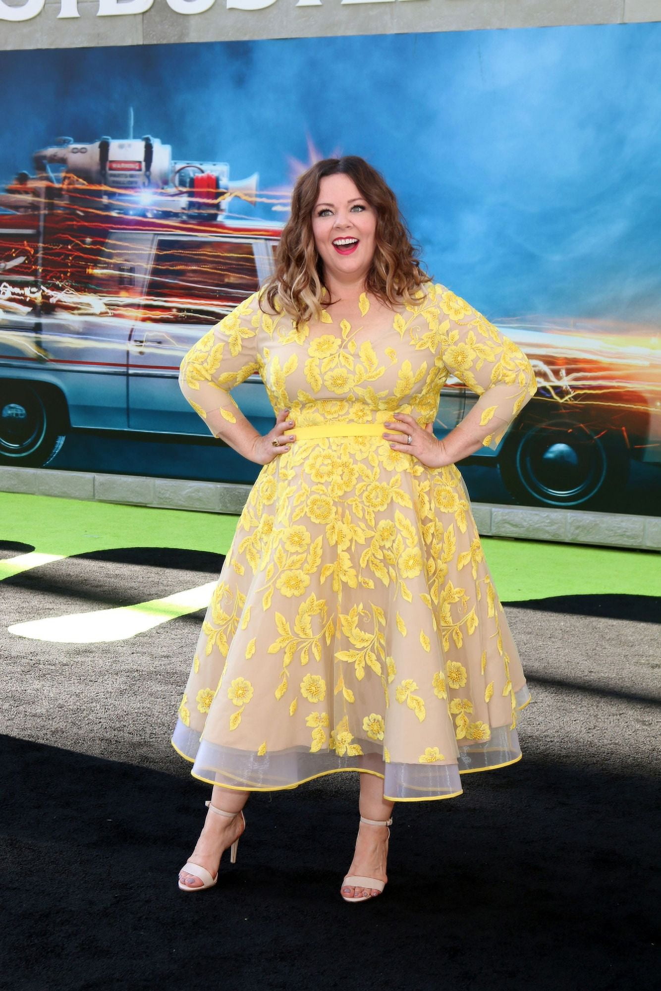 Melissa Mccarthy (Wearing A Judy Swartz Dress) At Arrivals For