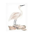 thumbnail image 1 of Melissa Wang 'A White Heron II' Canvas Art, 1 of 4