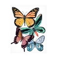 thumbnail image 1 of Melissa Wang 'Butterfly Swatches I' Canvas Art, 1 of 1