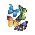 thumbnail image 1 of Melissa Wang 'Butterfly Swatches II' Canvas Art, 1 of 3