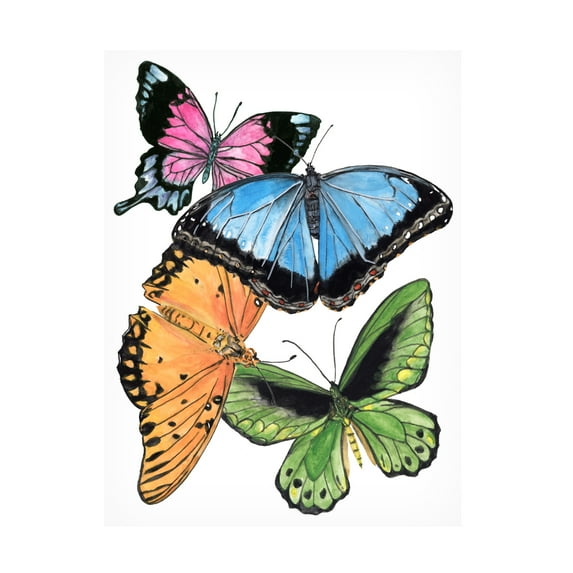 Melissa Wang 'Butterfly Swatches III' Canvas Art