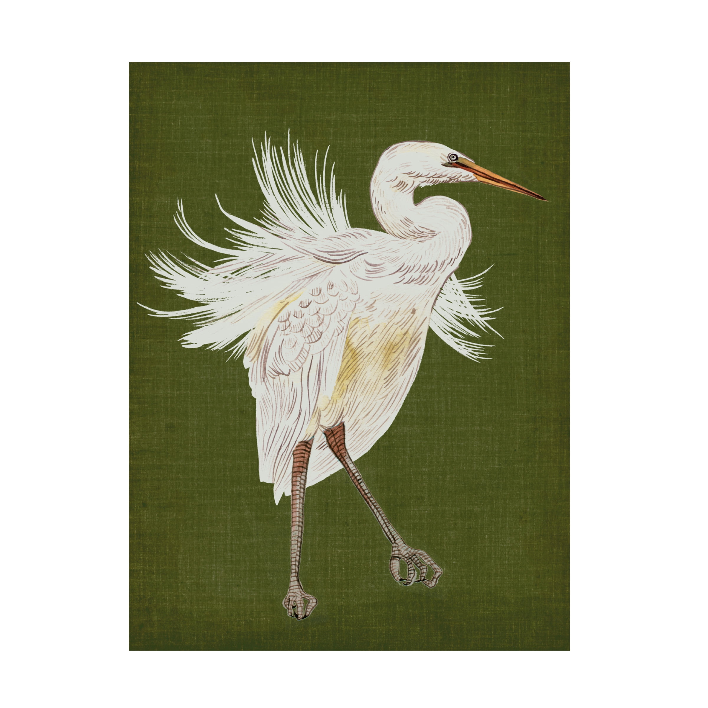 Heron Plumage I Green and White Canvas Art