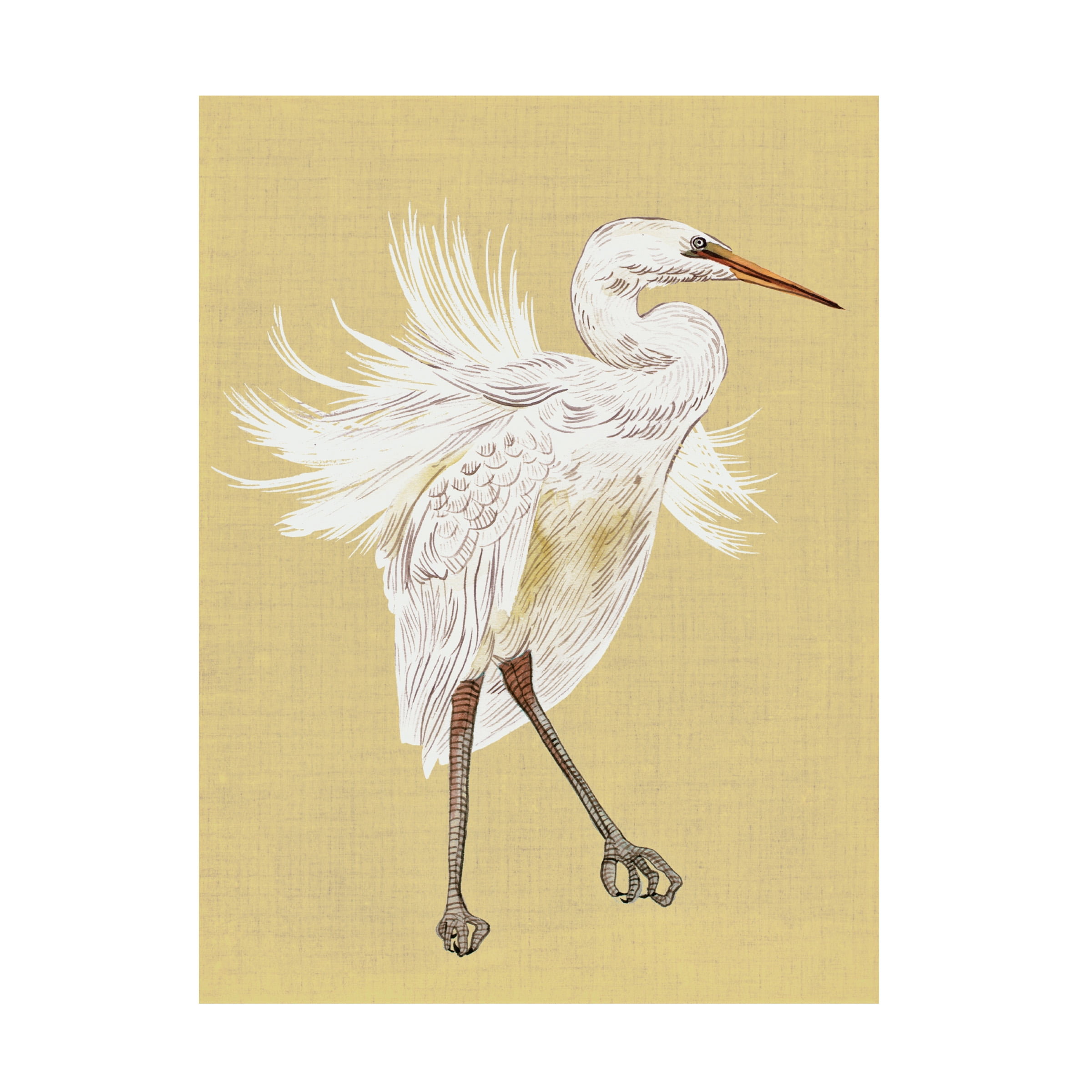Heron Plumage Tan and White Canvas Art 24" x 18"