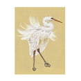 thumbnail image 1 of Melissa Wang 'Heron Plumage V' Canvas Art, 1 of 4