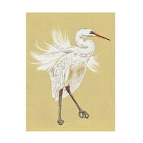 Melissa Wang 'Heron Plumage V' Canvas Art