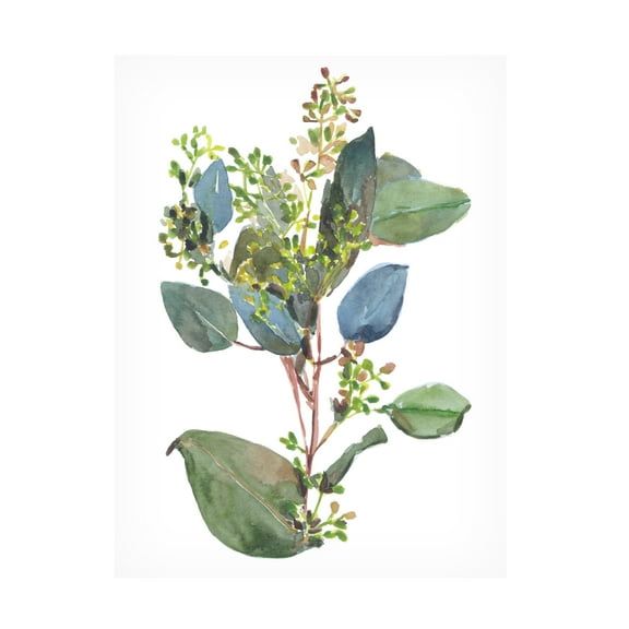 Melissa Wang 'Seeded Eucalyptus I' Canvas Art