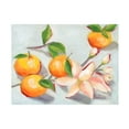 thumbnail image 1 of Melissa Wang 'Tangerine Blossoms I' Canvas Art, 1 of 3