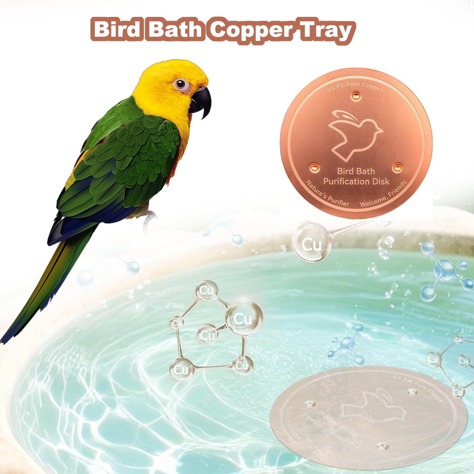 Image showcasing Quora - A place to share knowledge and better understand the world