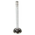 thumbnail image 1 of Melling Engine Exhaust Valve P/N:V1463, 1 of 1