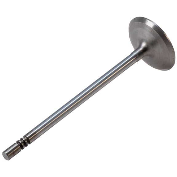 Melling V5817 Engine Intake Valve For 17-23 Expedition F-150 GT Navigator