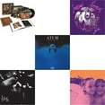 thumbnail image 1 of Mellon Collie & Infinite Sadness & Adore (2LP) & Atum (4LP) & Gish & Siamese Dream, 1 of 6