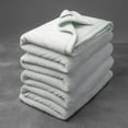 thumbnail image 1 of Mellowdy Extra Thick Hearty Plush Blanket - 500GSM Twin/Full Warm Blanket for Winter, Fall, Couch, Bed (Light Mint, 60x80 inches), 1 of 9