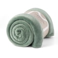 thumbnail image 1 of Mellowdy Plush Blanket - 320GSM Throw Blanket for Couch, Bed (Iceberg Green, 50x60 inches), 1 of 7