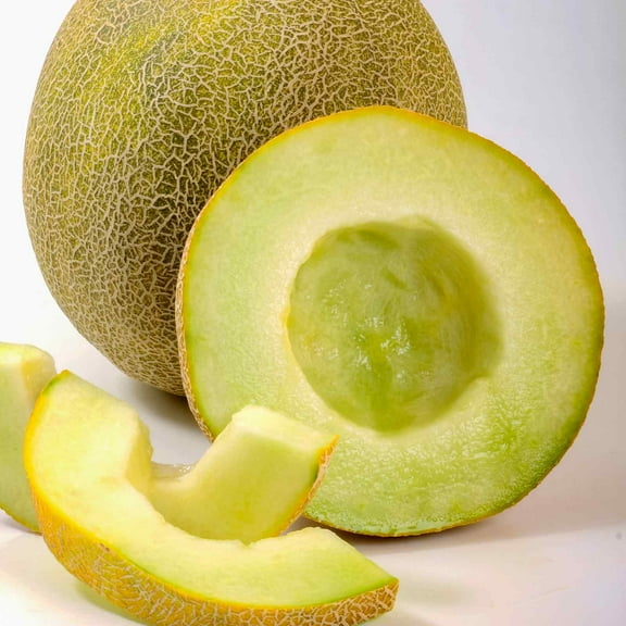 Melon Garden Seeds, Galia - Gallo - 100 Seeds - Non-GMO, Open Pollinated Fruit Gardening Seeds