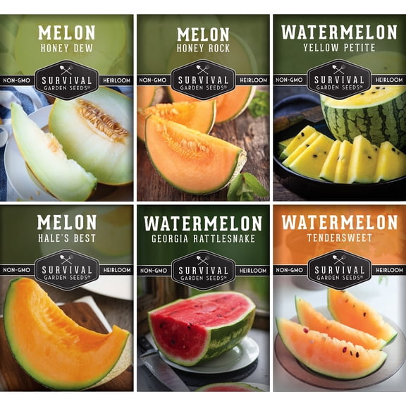 6 Pack Melon & Watermelon Seeds Collection - Heirloom Full Sun Annual Fruits