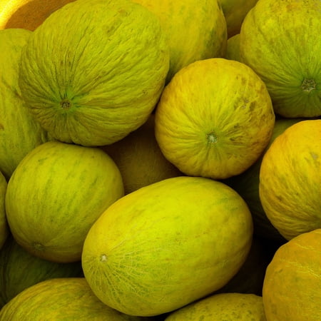 Melon Seeds - Amarillo Oro - 5 g Packet ~200 Seeds - Cucumis melo - Farm & Garden Vegetable / Fruit Seeds - Non-GMO, Heirloom, Open Pollinated, Annual