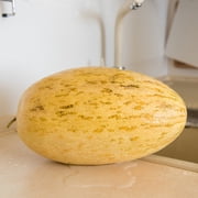 Melon Seeds - Banana - 4 g Packet 120 Seeds - Cucumis melo - Farm & Garden Vegetable/Fruit Seeds - Non-GMO, Heirloom, Open Pollinated, Annual