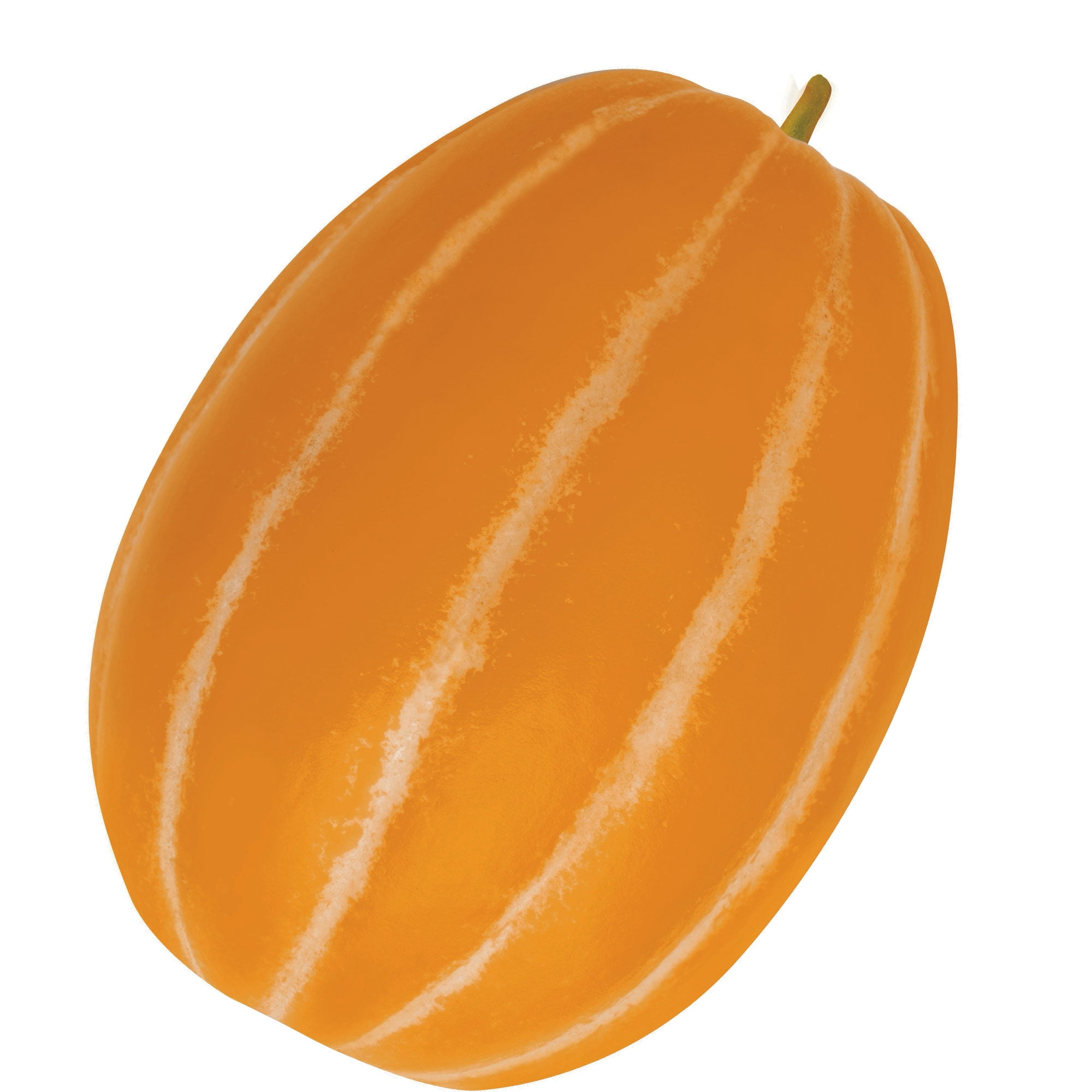 Melon Seeds - Dae Jang Geum - Hybrid - 1 Oz ~2100 Seeds - Non-GMO, F1 Hybrid - Asian Garden Fruit
