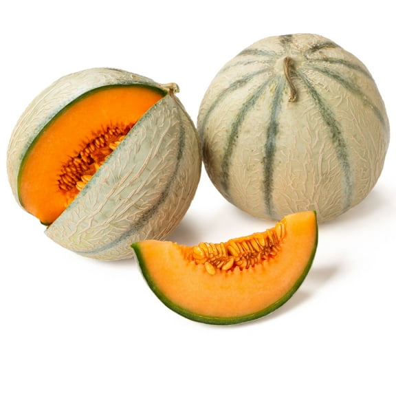 Melon Seeds - Honey Rock - 1 Oz ~900 Seeds - Cucumis melo - Farm & Garden Vegetable / Fruit Seeds - Non-GMO, Heirloom, Open Pollinated, Annual