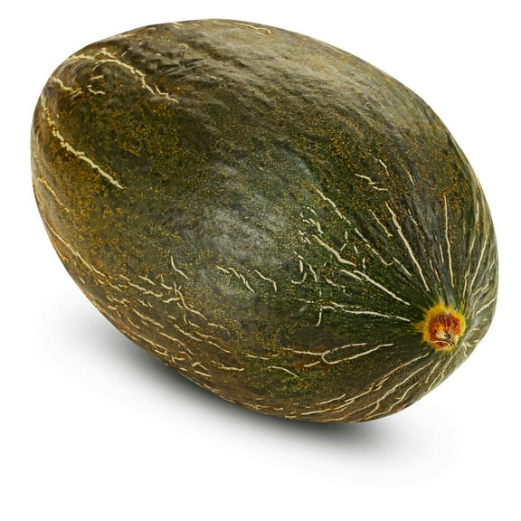 Melon Seeds - Tendral Verde Tardif - 4 Oz ~4800 Seeds - Cucumis melo - Non-GMO, Heirloom - Fruit Gardening