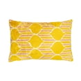 thumbnail image 1 of Melon Silk Velvet Ikat Pillow, 16" X 24", 1 of 3