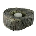 thumbnail image 1 of 6.75" Eye-Catching Textured and Rustic Woodland Tree Trunk Candle Holder, 1 of 3