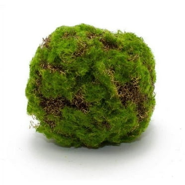 Melrose 82635 5.5 in. Plastic Moss Ball&#44; Green & Brown - Set of 12