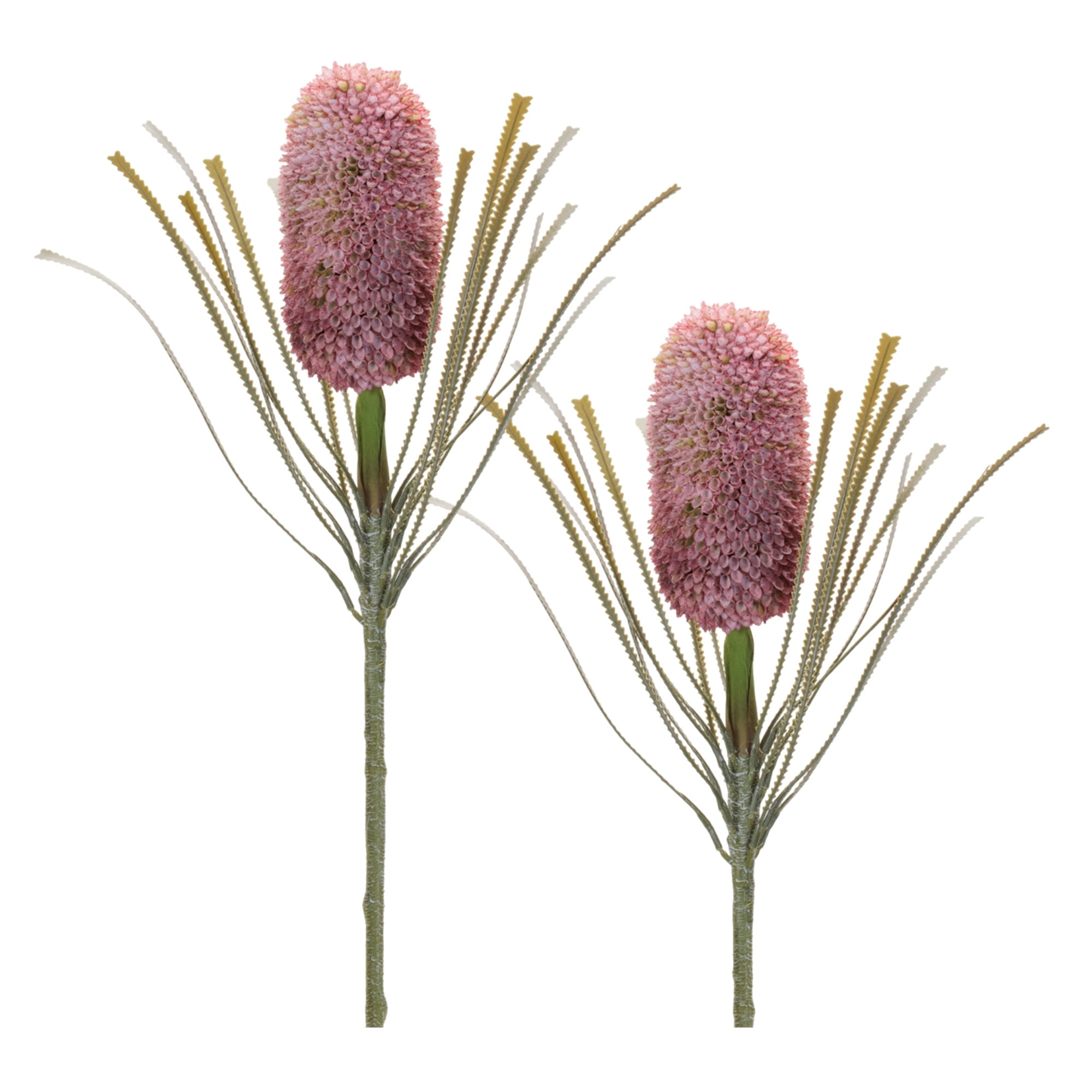 Melrose International Beige Protea Stem (Set of 6) main image 1