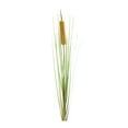 thumbnail image 1 of Melrose Club Pack of 12 Cattail Artificial Bushes 20", 1 of 2