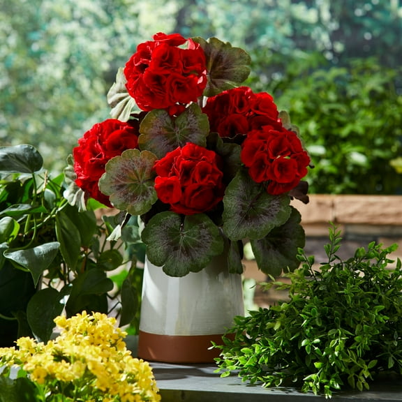 Melrose Geranium Floral Artificial Bush Sprays - 17.5" - Red and Green - Set of 2