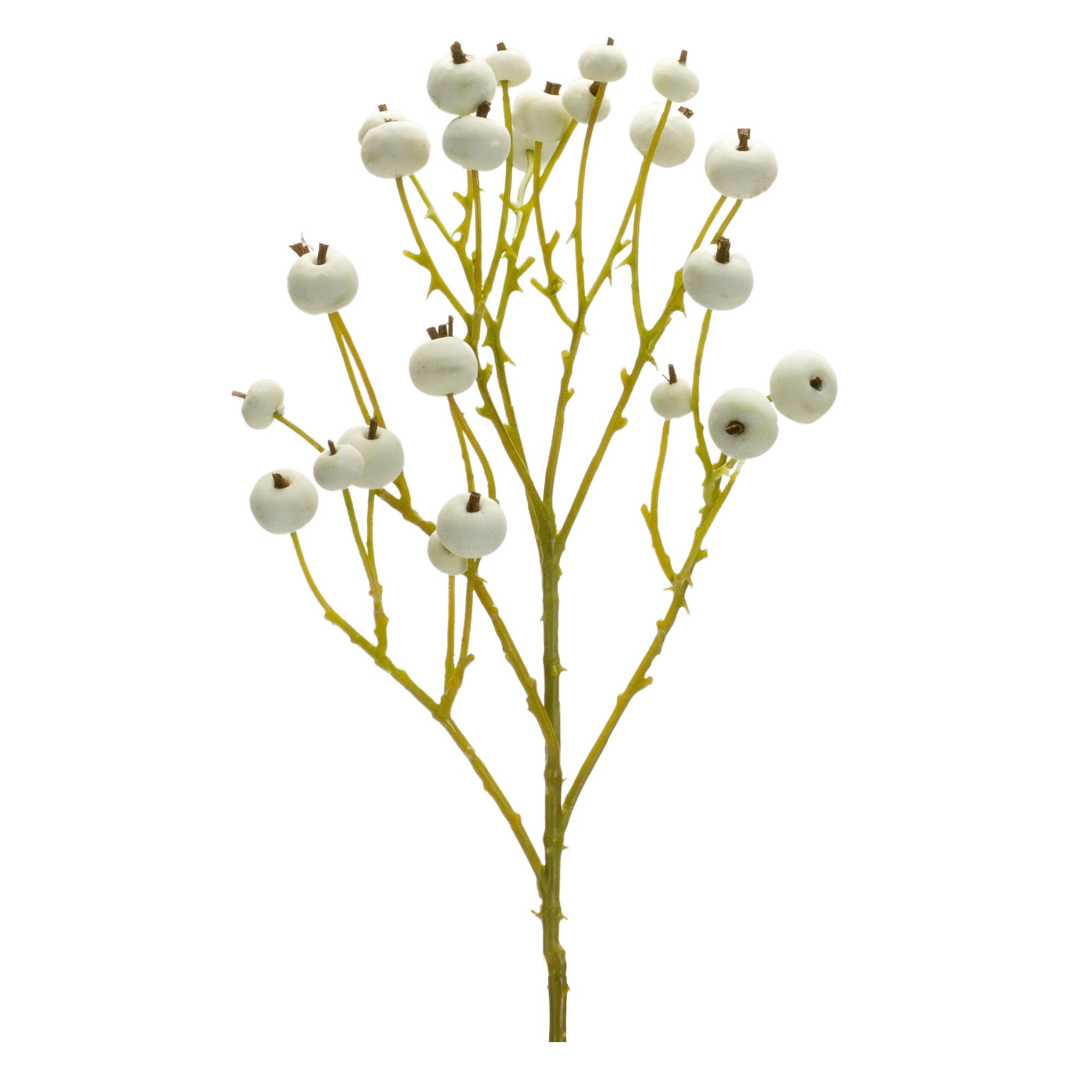 Melrose International Variegated Red Berry Foliage Spray (Set of 6)