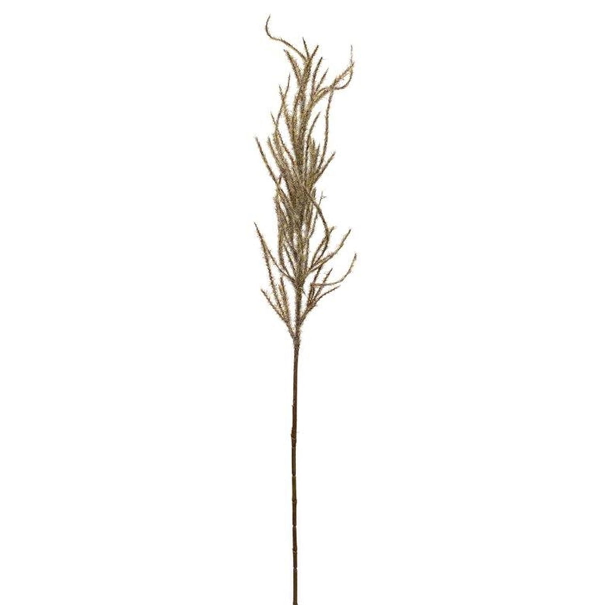 31" Flocked Beige Pampas Grass Spray Set for Indoor/Outdoor Decor