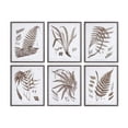 thumbnail image 1 of Melrose International Framed Fern Print (Set of 6), 1 of 7