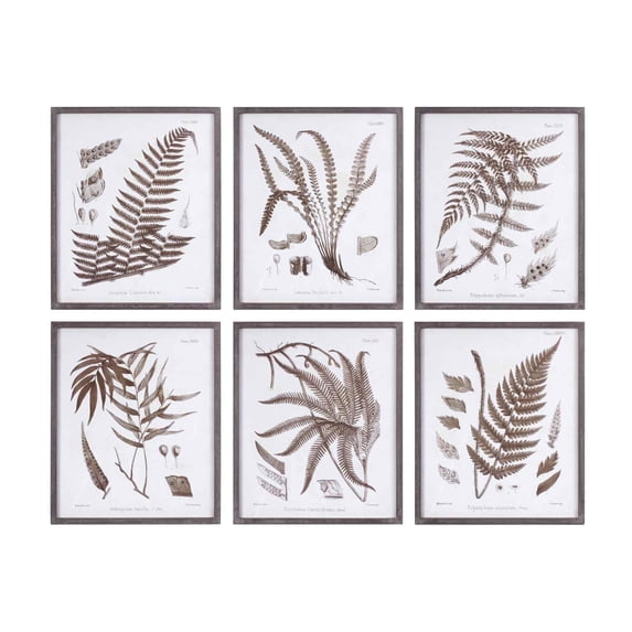 Melrose International Framed Fern Print (Set of 6)